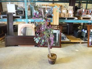 (7) Artificial Plants w/ Base, 3 w/ Lights * 1 Damaged* (E-2)