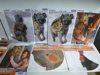 (5) Visicolor Targets, 6 Per Pack, (2) Sight Targets, 25 Per Pack