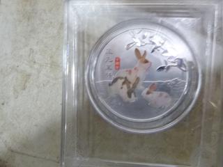 Box of 60 Rabbit Coins (B-1)