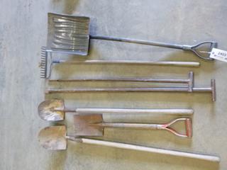 Assortment of Yard Tools (WR-4)