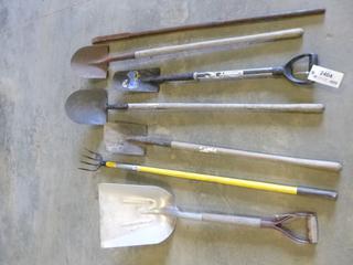 Assortment of Yard Tools (WR-4)