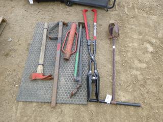 Assortment of Hand Tools (WR-4)