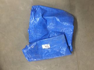 Blue Tarp, Unknown Size.