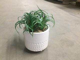Fake Plant.