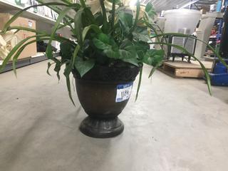 Fake plant.