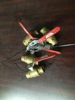 (4) Valves, 150 WSP.
