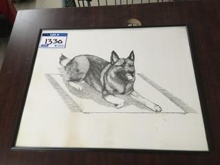 Dog Picture.