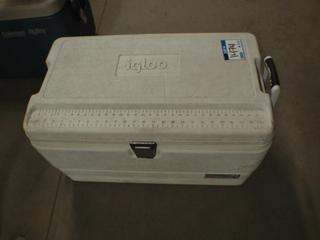 Igloo Cooler.