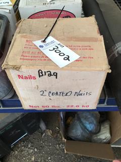 Box of 2" Coated Nails.