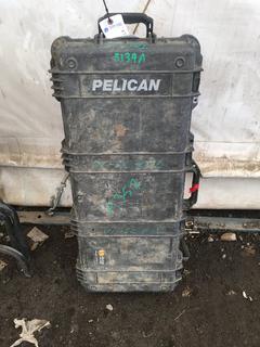 Pelican Gun Case.