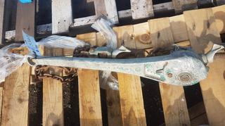1 Ton Chain Hoist.