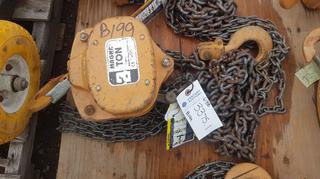 Magnaton 2 Ton Chain Hoist.
