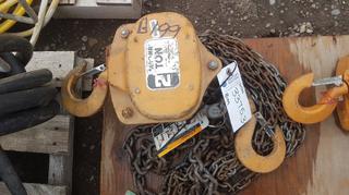 Magnaton 2 Ton Chain Hoist.