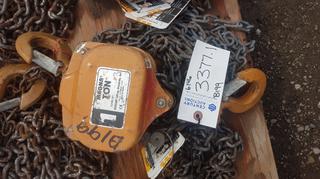 Magnaton 1 Ton Chain Hoist.