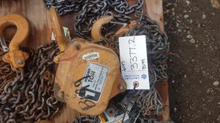 Magnaton 1 Ton Chain Hoist.