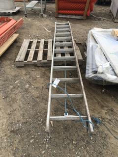12 Step Adjustable Aluminum Ladder.