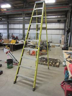 Featherlite 10ft Step Ladder