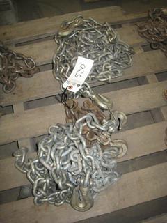 (2) Chains w/ Hooks Grade 7 - Non Lifting.