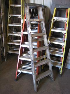 6' Louisville Aluminum Ladder.