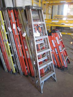 6' Louisville Aluminum Ladder.