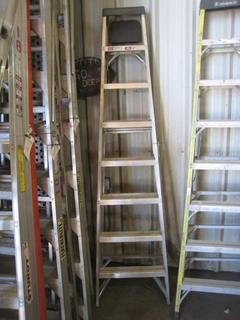 8' Sturdy Aluminum Ladder.