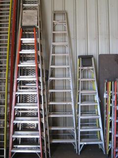 12' Sturdy Aluminum Ladder.