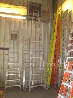 14' Feather Lite Aluminum Ladder.