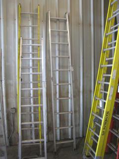 10' Sturdy Aluminum Ladder.