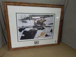 Wildlife Bear Print Art w/Stamp - 26 in. x 22 in.