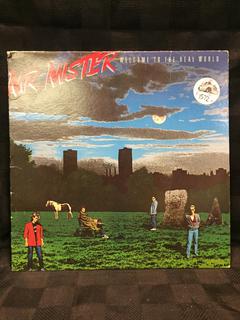 Mr Mister Vinyl, Welcome to The Real World. 