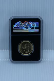 2019 Canada First Release One Dollar Coin - Graded GEM Uncirculated.