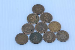 Lot of Indian Head Pennies.