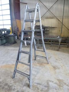 9ft Aluminum Adjustable Ladder
