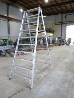 Sturdy 10ft Aluminum Step Ladder