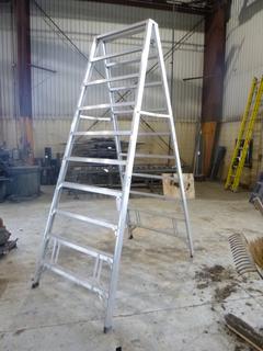 Sturdy 10ft Aluminum Step Ladder