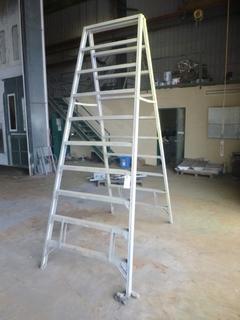 Sturdy 10ft Step Ladder