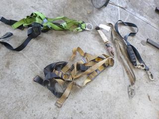 Qty Of Safety Harnesses And Lanyards