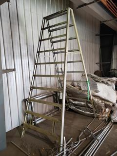 10ft Step Ladder
