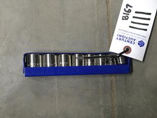 9 Piece 3/8" Drive Socket Set.