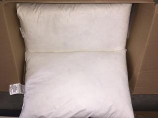 2 Duck Feather Pillows.