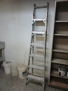 6' Aluminum A-Frame Ladder.