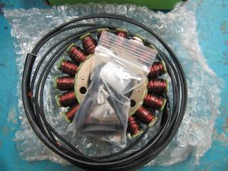 New Ricks Motorsports Electrics Stator. 