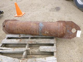 10 In. Pig (North Fence)