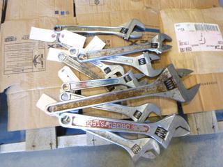 Adjustable Wrenches, Assorted Sizes (C-2)