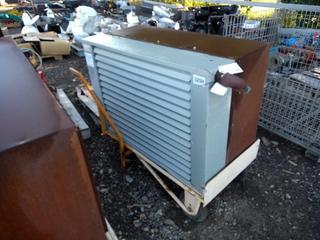 Portable Radiator Unit (Rad Leak).