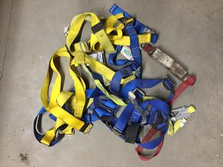 Quantity of Safety Harnesses.