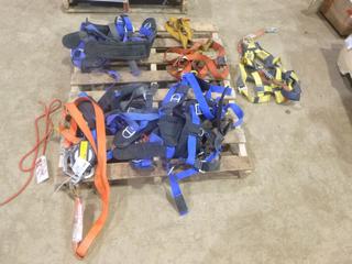 Qty of Safety Harness, Retractable Lifelines, Shock Absorbing Lanyards