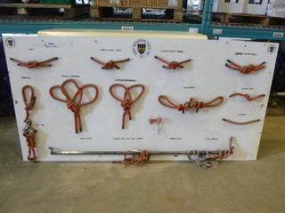 Knot Tying Display Board, 8' x 4' 