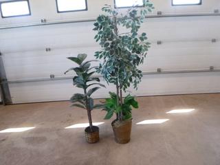 (2) Artificial Plants