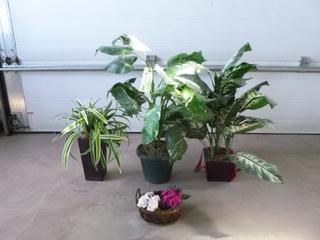 Qty Of (4) Artificial Plants